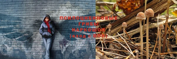 метадон Магас