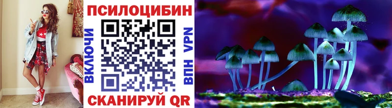 Купить закладки  Кирово-Чепецк  Галлюциногенные грибы Magic Shrooms 