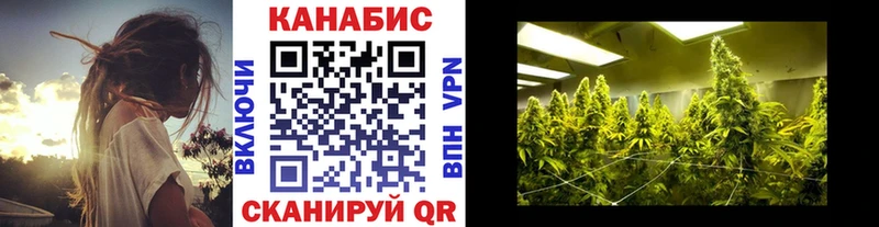 Бошки марихуана тримм  Купить закладки  Кирово-Чепецк 